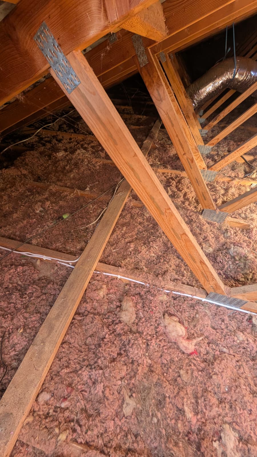 Insulation Removal company