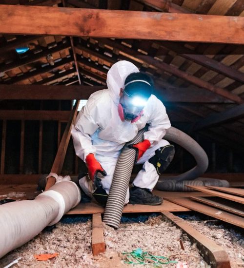 Insulation Removal